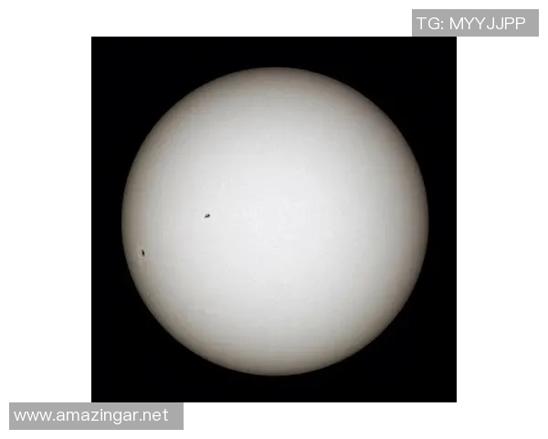 以太阳为中心探讨宇宙中的星体运动与地球生命起源的深度研究 以太阳为中心探讨宇宙中的星体运动与地球生命起源的深度研究